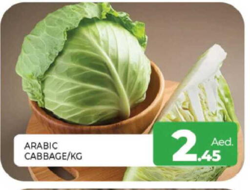 Cabbage available at المدينة in الإمارات العربية المتحدة , الامارات - الشارقة / عجمان