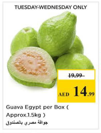 Guava from Egypt available at نستو هايبرماركت in الإمارات العربية المتحدة , الامارات - أبو ظبي