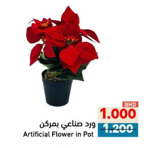 available at Ramez in Bahrain