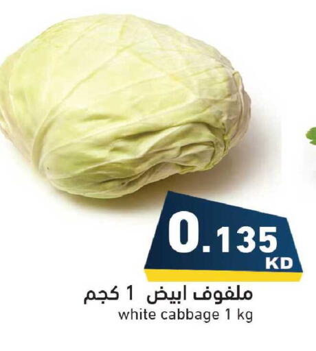 Cabbage available at  رامز in الكويت - مدينة الكويت