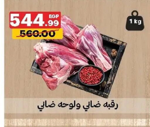 available at الحبيب ماركت in Egypt - القاهرة