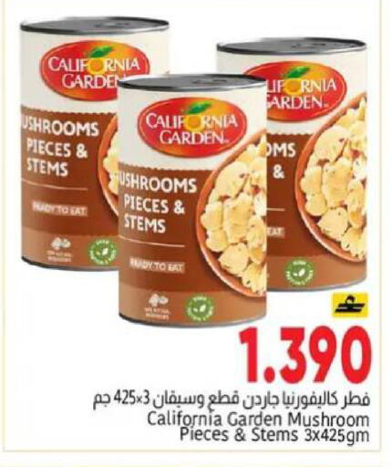 Mushroom available at Al Amri Center in Oman - Muscat