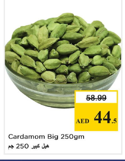 Cardamom available at نستو هايبرماركت in الإمارات العربية المتحدة , الامارات - دبي
