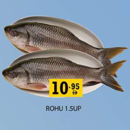 available at زين مارت سوبرماركت in الإمارات العربية المتحدة , الامارات - رَأْس ٱلْخَيْمَة