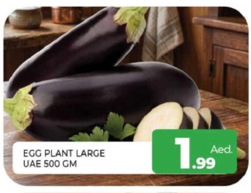 available at Al Madina  in UAE - Sharjah / Ajman