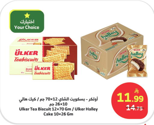 available at Al Raya in KSA, Saudi Arabia, Saudi - Mecca