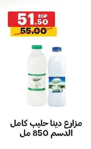 available at الحبيب ماركت in Egypt - القاهرة