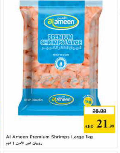 available at لاست تشانس in الإمارات العربية المتحدة , الامارات - ٱلْفُجَيْرَة‎