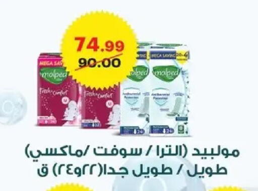 available at الحبيب ماركت in Egypt - القاهرة