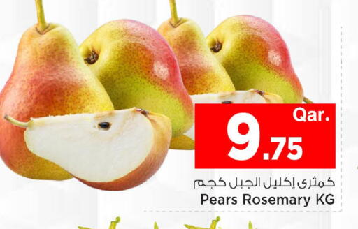 Rosemary available at مارك & سيف in قطر - الضعاين