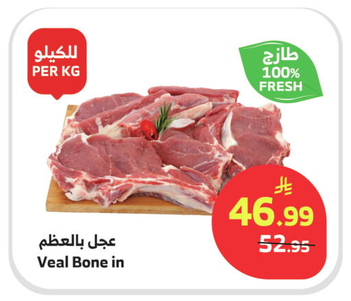 available at الراية in مملكة العربية السعودية, السعودية, سعودية - القنفذة