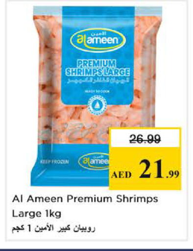available at Nesto Hypermarket in UAE - Al Ain