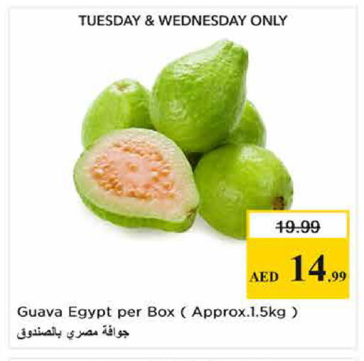 Guava from Egypt available at Last Chance  in UAE - Fujairah