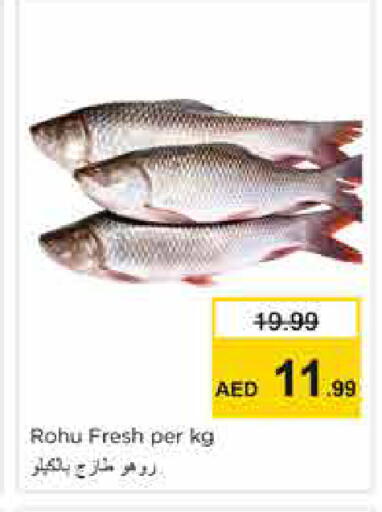 available at نستو هايبرماركت in الإمارات العربية المتحدة , الامارات - الشارقة / عجمان