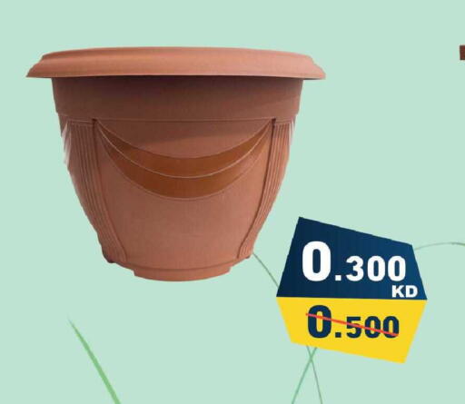 available at Ramez in Kuwait - Jahra Governorate