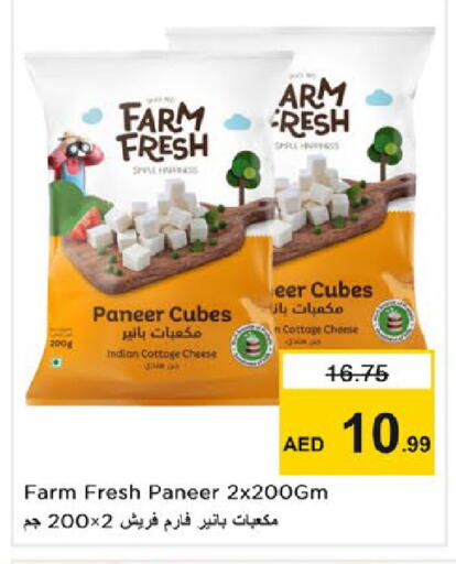 available at نستو هايبرماركت in الإمارات العربية المتحدة , الامارات - رَأْس ٱلْخَيْمَة