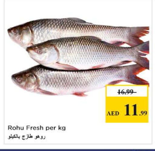 available at Nesto Hypermarket in UAE - Abu Dhabi