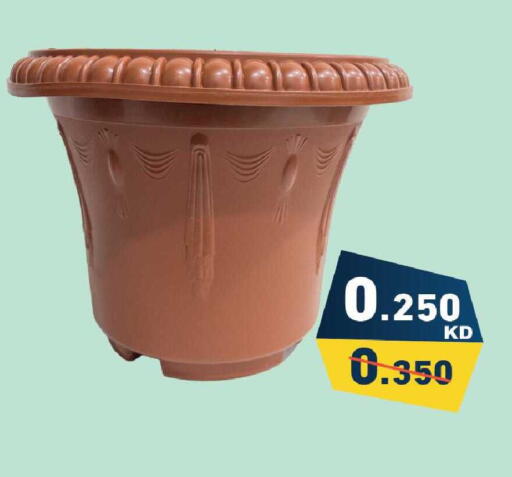 available at Ramez in Kuwait - Jahra Governorate