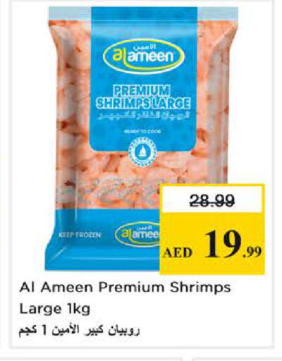 available at نستو هايبرماركت in الإمارات العربية المتحدة , الامارات - أبو ظبي