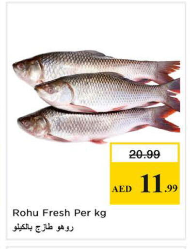 available at نستو هايبرماركت in الإمارات العربية المتحدة , الامارات - الشارقة / عجمان