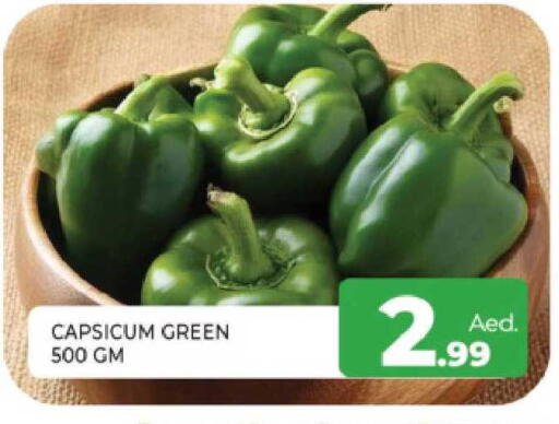 Capsicum available at المدينة in الإمارات العربية المتحدة , الامارات - الشارقة / عجمان