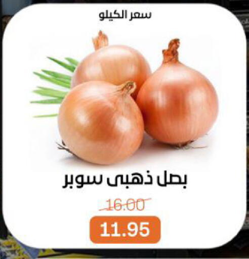 available at بيت الجملة in Egypt - القاهرة
