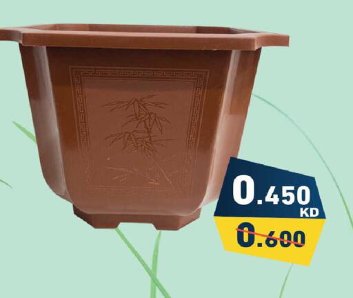 available at Ramez in Kuwait - Jahra Governorate