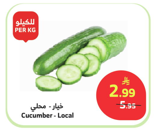 Cucumber available at Al Raya in KSA, Saudi Arabia, Saudi - Najran