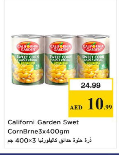 available at نستو هايبرماركت in الإمارات العربية المتحدة , الامارات - ٱلْفُجَيْرَة‎