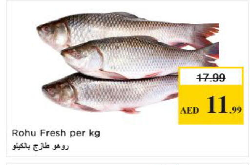 available at نستو هايبرماركت in الإمارات العربية المتحدة , الامارات - الشارقة / عجمان