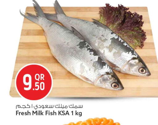 available at Safari Hypermarket in Qatar - Al Khor
