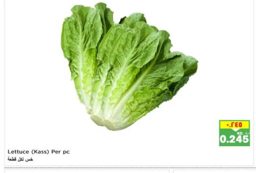 Lettuce available at نستو هايبر ماركت in الكويت - مدينة الكويت