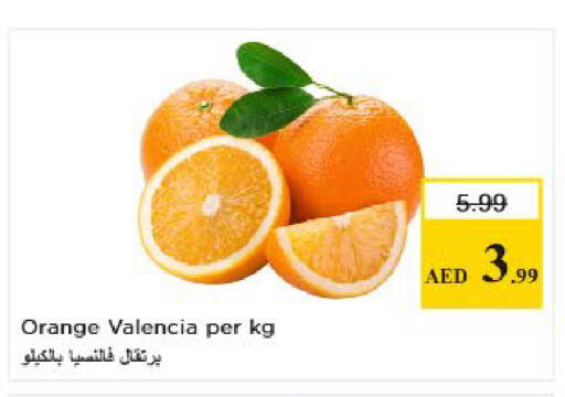 Orange available at Nesto Hypermarket in UAE - Sharjah / Ajman
