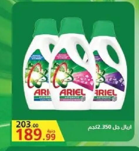 available at الحبيب ماركت in Egypt - القاهرة