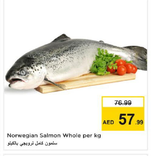 available at نستو هايبرماركت in الإمارات العربية المتحدة , الامارات - رَأْس ٱلْخَيْمَة