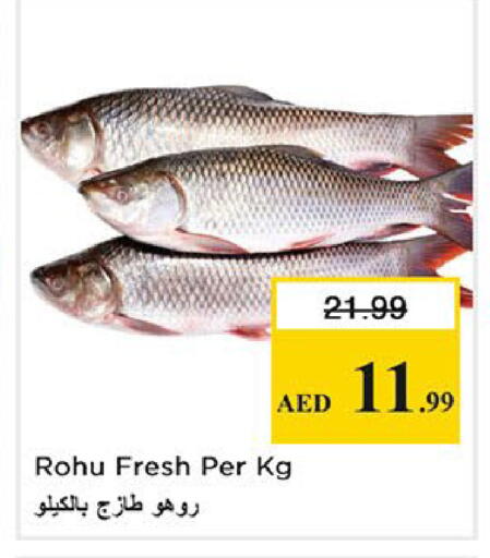 available at Nesto Hypermarket in UAE - Dubai