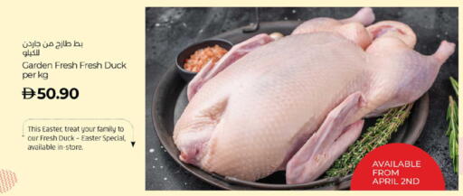 available at Lulu Hypermarket in UAE - Abu Dhabi