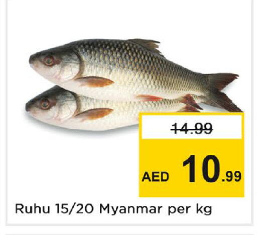 available at Nesto Hypermarket in UAE - Dubai