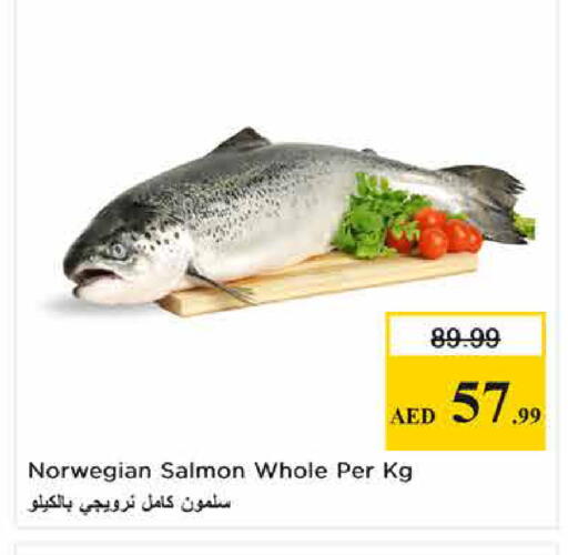 available at نستو هايبرماركت in الإمارات العربية المتحدة , الامارات - الشارقة / عجمان