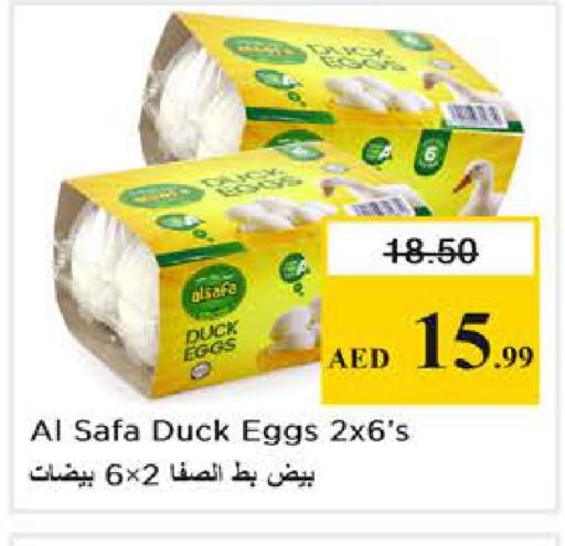 available at Nesto Hypermarket in UAE - Dubai