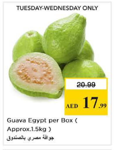 Guava from Egypt available at Nesto Hypermarket in UAE - Al Ain