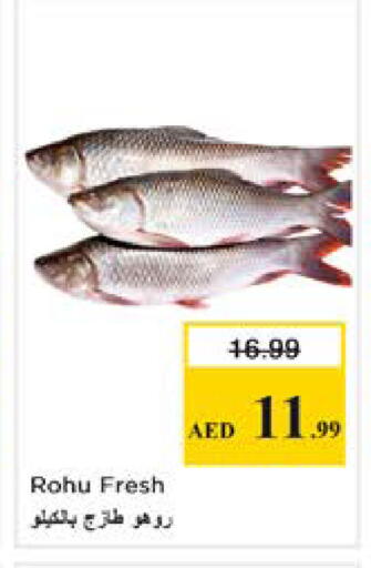 available at Nesto Hypermarket in UAE - Dubai