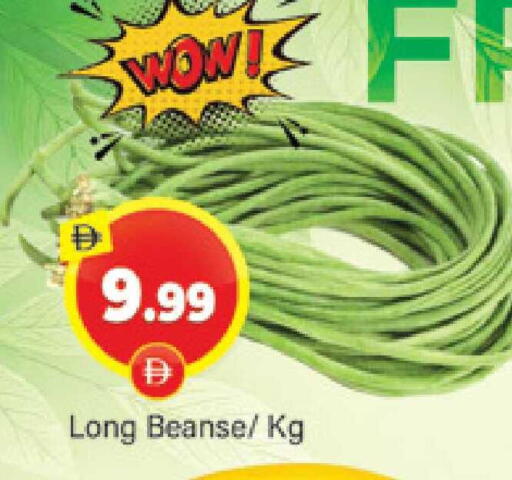 available at المدينة in الإمارات العربية المتحدة , الامارات - دبي