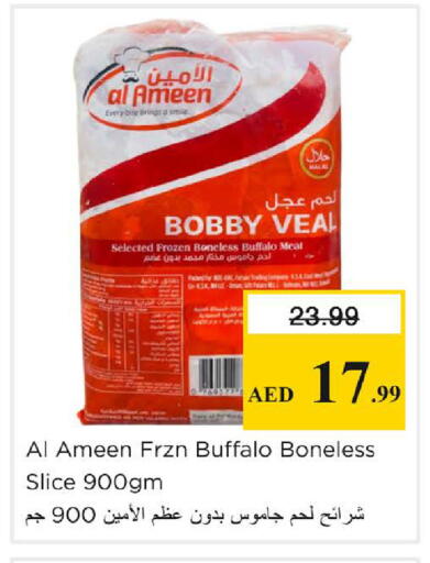 available at نستو هايبرماركت in الإمارات العربية المتحدة , الامارات - دبي