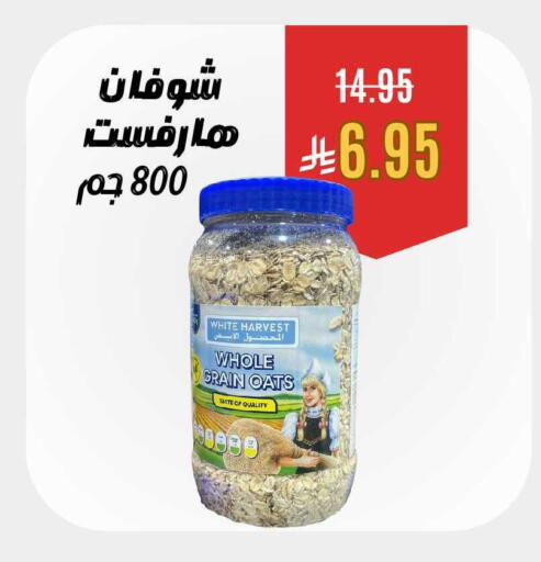 available at العائلة الإقتصادية in مملكة العربية السعودية, السعودية, سعودية - ينبع