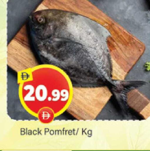 available at المدينة in الإمارات العربية المتحدة , الامارات - دبي