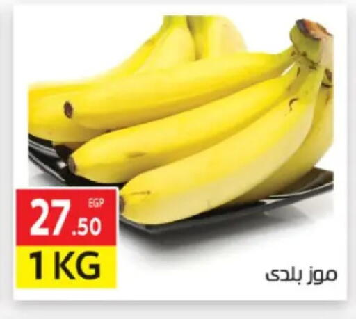 available at المحلاوي ماركت in Egypt - القاهرة