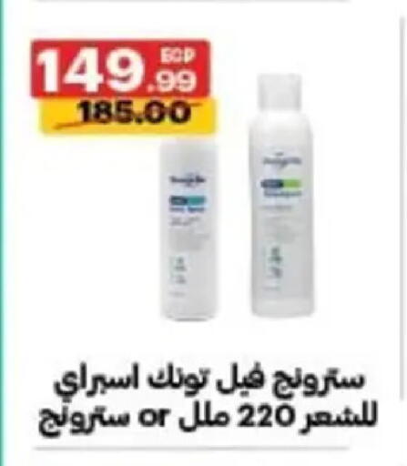 available at الحبيب ماركت in Egypt - القاهرة