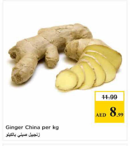 Ginger from China available at لاست تشانس in الإمارات العربية المتحدة , الامارات - ٱلْفُجَيْرَة‎