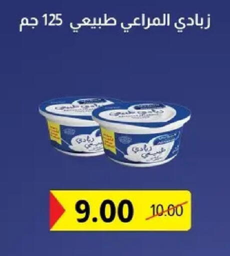 available at الحبيب ماركت in Egypt - القاهرة